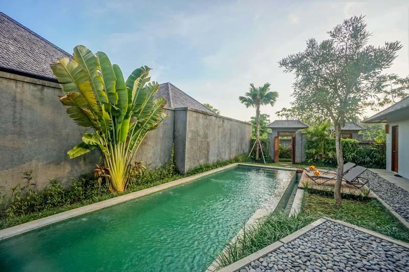Dusun Ubud المظهر الخارجي الصورة